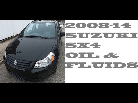 How to Check OIL/Fluids in SUZUKI SX4 2008-2014