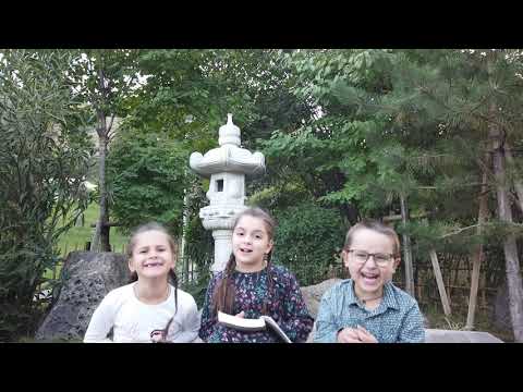 ''გენერლის ძროხა''