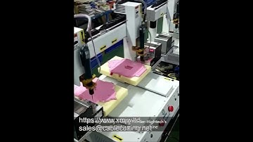 Factory Direct Automatic Loading And Unloading Adsorption Type Locking Screw Machine fast Automatic