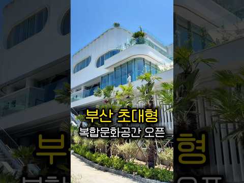 베이커스 부산진점 영상맛집