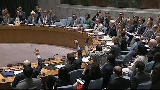 UN votes for an investigation into flight MH17