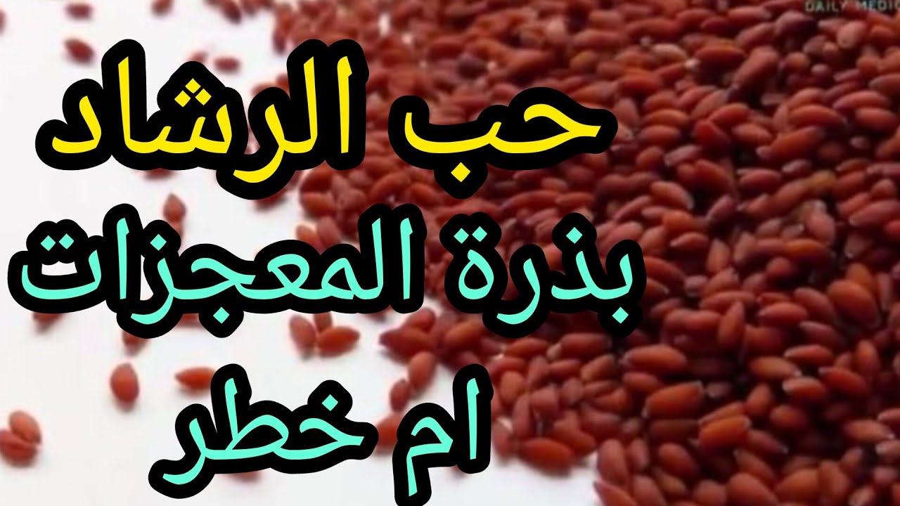 حب الرشاد بذرة المعجزات ام خطر #نباتي #أعشاب 