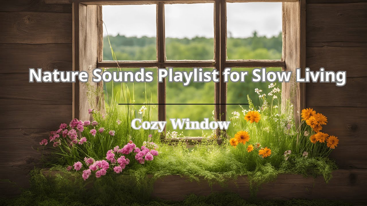 Relaxing Winter Views | Cozy Window & Nature Sounds Playlist for Slow ...
