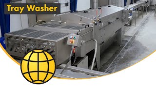 Tray Washer for Egg Trays - Automatic Egg Tray Washing - SANOVO TECHNOLOGY GROUP