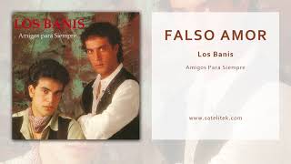 Los Banis - Falso Amor (Audio Oficial)