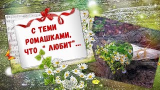 С ТЕМИ  РОМАШКАМИ  ЧТО  ЛЮБИТ