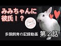 多頭飼育の記録動画　第2話　初めての同居生活