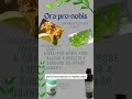 É saúde na mesa, e na natureza. #natural #saude #dicas