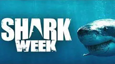 BabyShark Bite and Feeding Frenzy