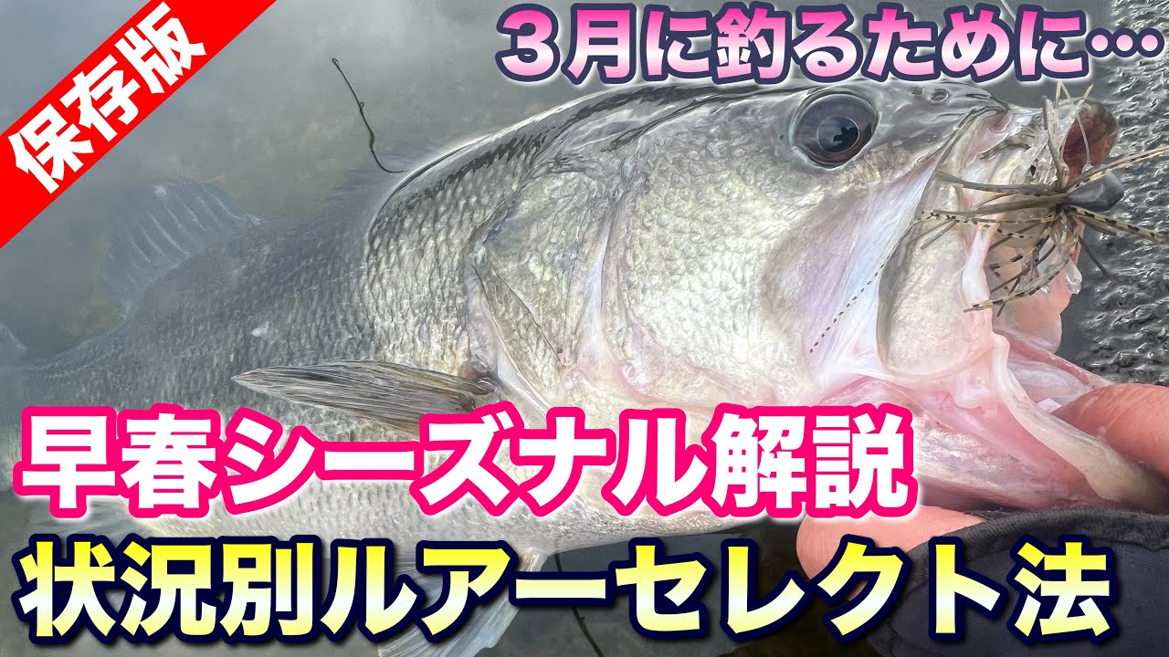 ３月のバスの動き＆ルアーの出しどころ、一気に解説‼︎【水の旅＃ ２９３】