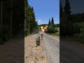 today! the crazy missile is back in action #military #militarysimulation #army