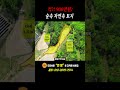 컥!~가격이 900만원? 숲속! 아마도 없는 조용한 힐링 토지