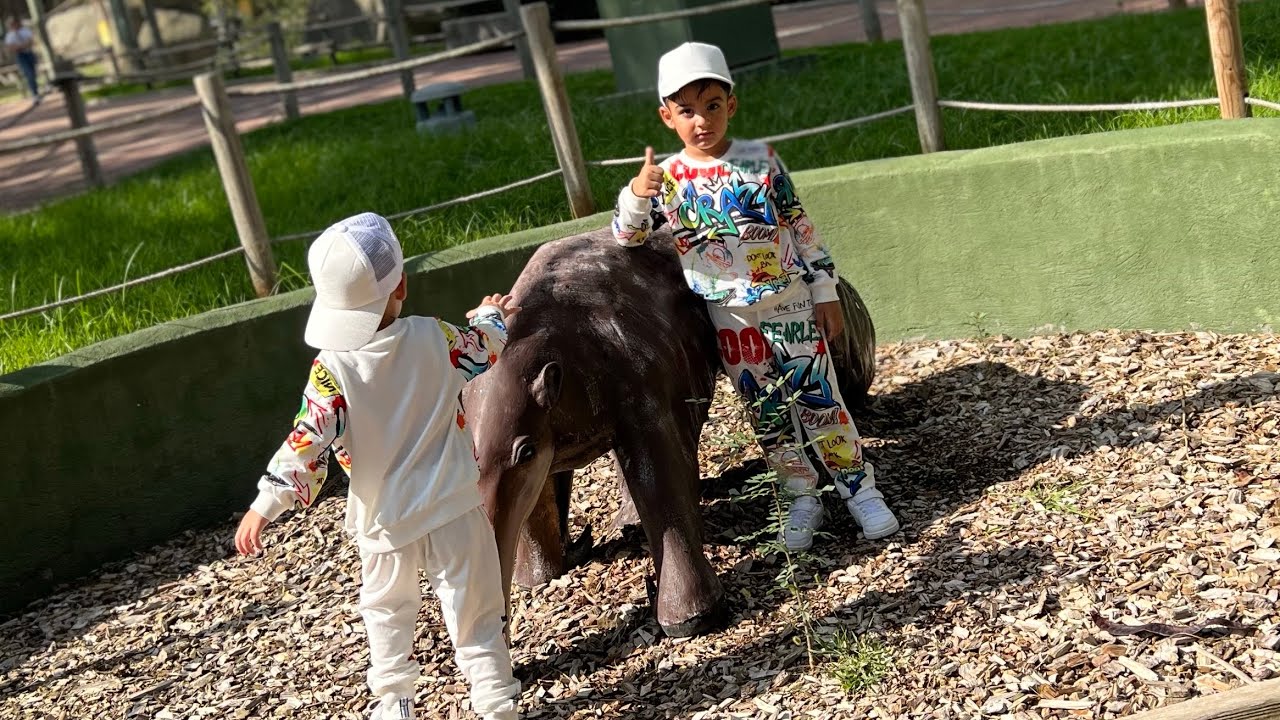 VLOG DIARIO PASAMOS EL DÍA CON LOS PRIMOS EN EL ZOO🦁+NOS LLEVAN ALA FERIA 🎡 🤭