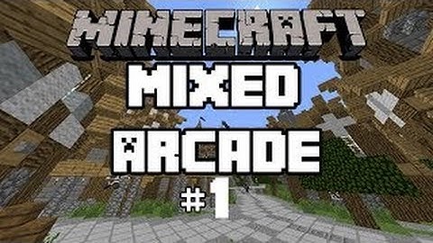 mine craft Mineplex mixed arcade part 1