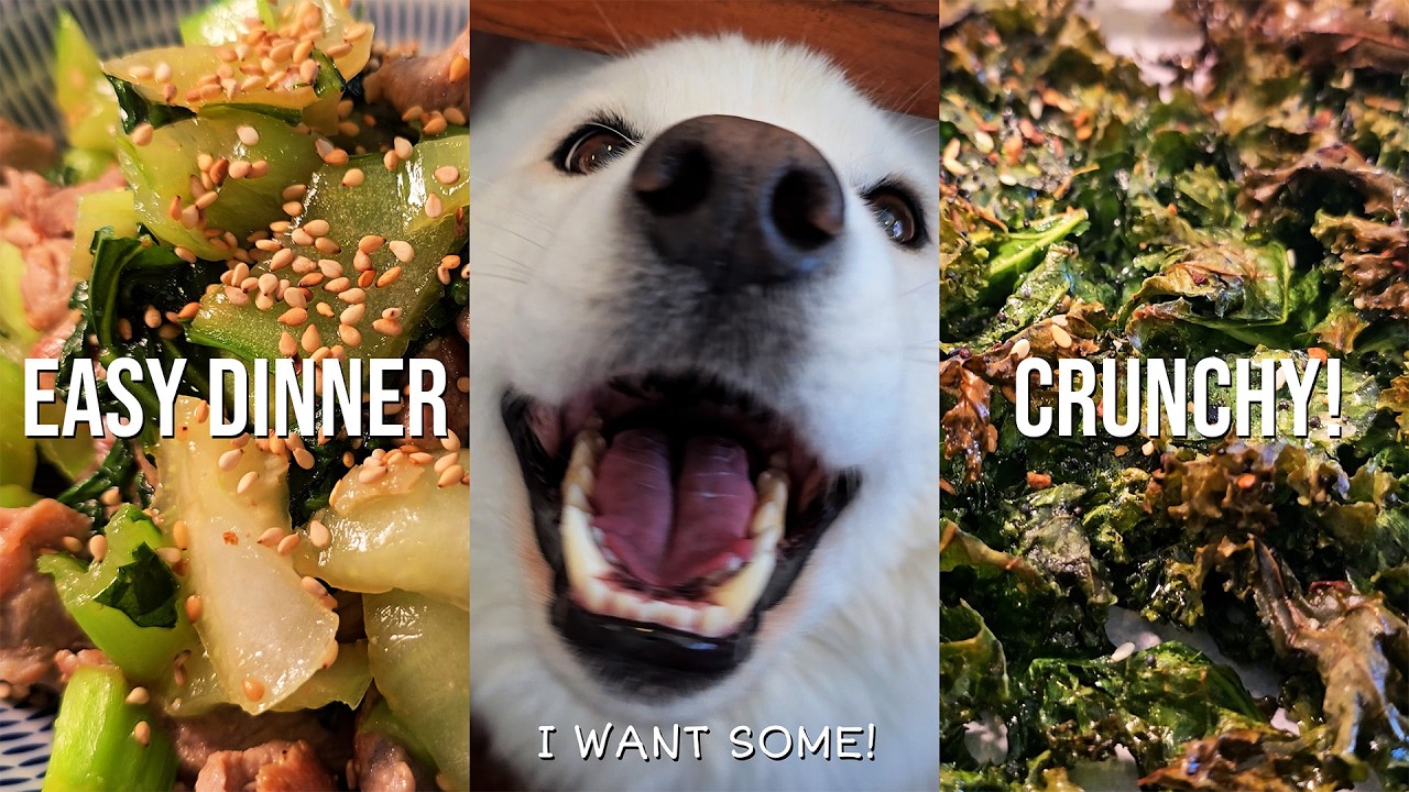 A Cozy Snowy Day Vlog: The Only Way We Eat Kale Now(CRUNCHY) Simple Easy Dinner 저희는 케일 이렇게만 먹어요(바삭!)