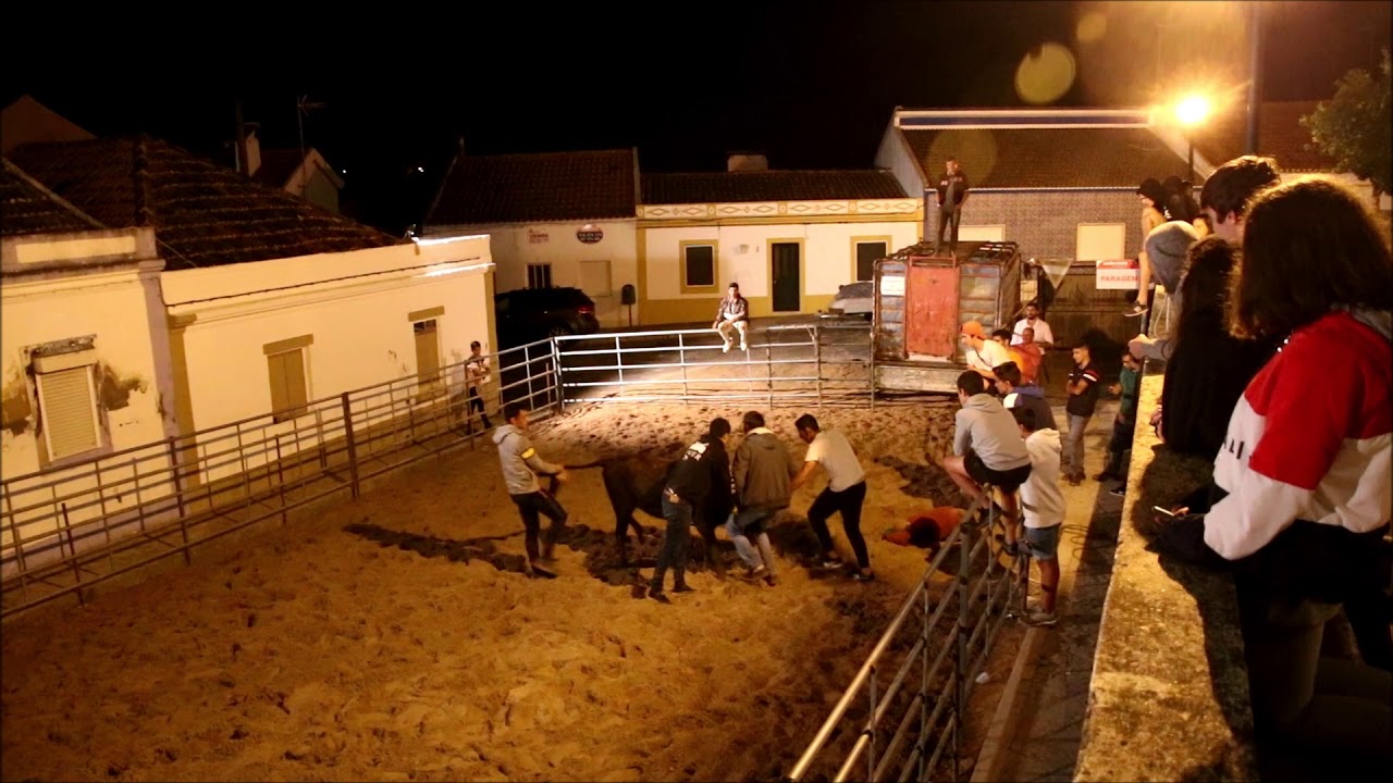 Festas de Cabrela - vacadas 2019