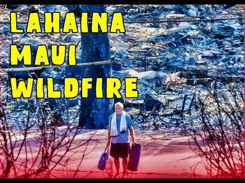 Lahaina Maui Wildfire - Lahaina Strong - Steve Is Back - Lahaina Town Is Gone - Lahaina Forever