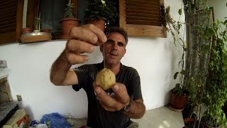 Το πολυαγκιστρο