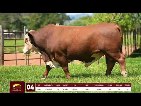 LOTE 04   CERRO VERDE C234