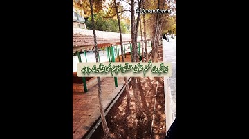 آيات من سورة المؤمنون.... بصوت القارئ عبدالله موسى....حالات واتس آب.