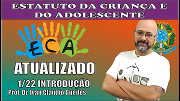 O que diz a lei no 8069 90?