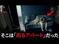 【戦慄の心霊映像5選】 最後まで見るのを躊躇う5つの映像…196本目