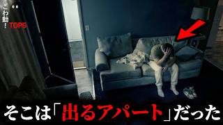 【戦慄の心霊映像5選】 最後まで見るのを躊躇う5つの映像…196本目