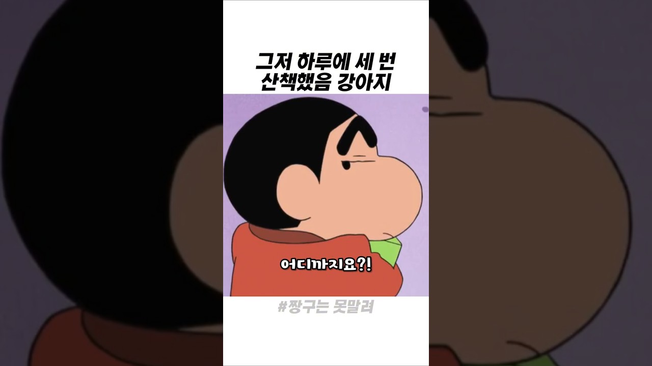 그저 하루에 세 번 산책했음 강아지