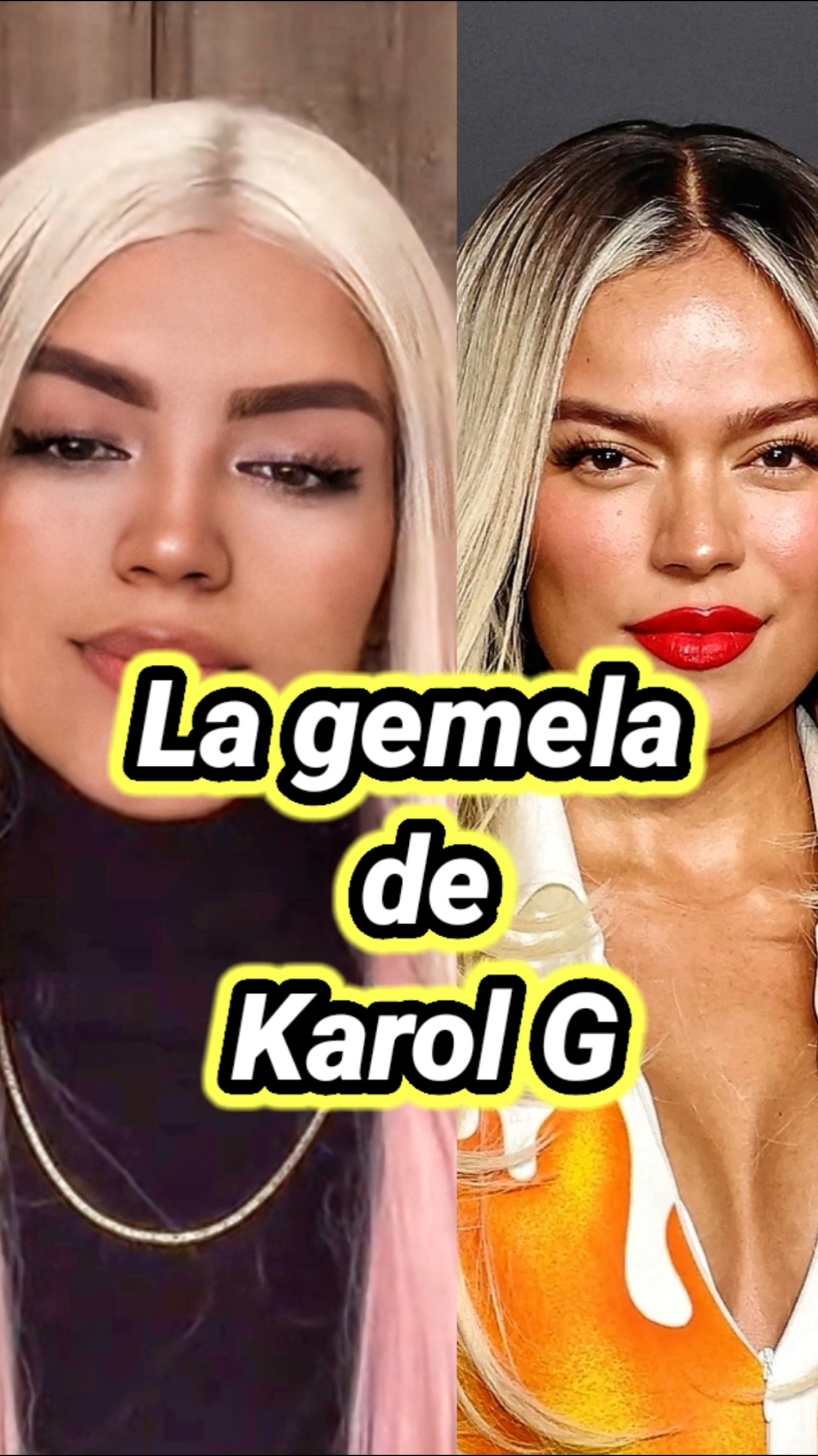 La gemela de Karol G. #karolg #dahianag