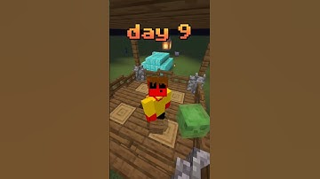 day 9 of placing one block for every subscriber I have #minecraft #shorts