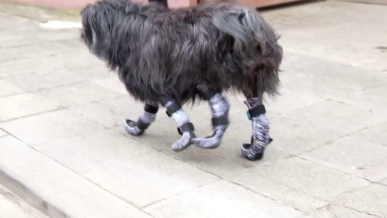 Kompletter Gelenk  Niederbruch vorn und hinten