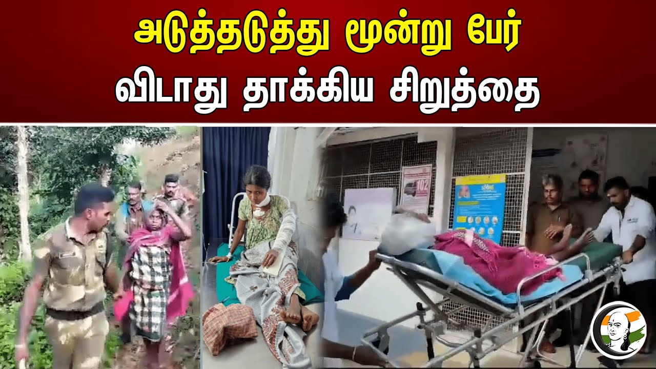 அடுத்தடுத்து மூன்று பேர் விடாது தாக்கிய சிறுத்தை | Cheetah Attack 3 People