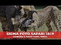 SIGMA PHOTOGRAPHIC SAFARI 2019 - WILDLIFE PHOTOGRAPHY IN KENYA