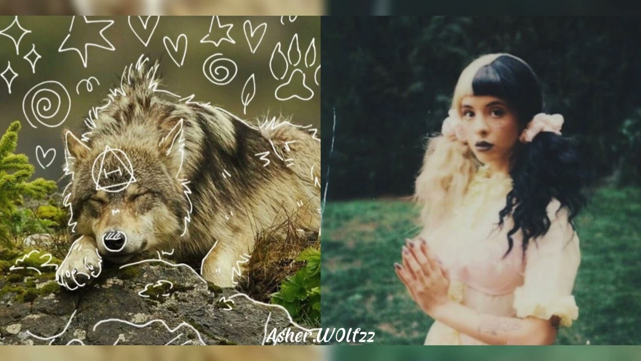 Therian Wolf X Bomm • Mashup