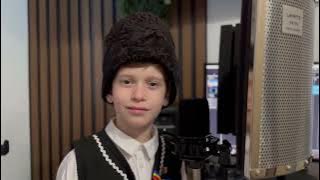 David Andrei Heresanu Foaie verde foi de cimbru cover Veta Biris 