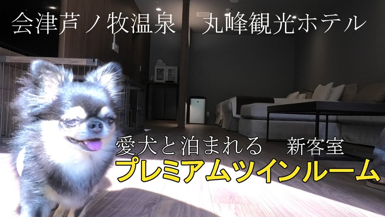 『愛犬と泊まれるプレミアムツインルーム』ワンちゃんテラスに犬用風呂と人も犬も大満足の湯宿。