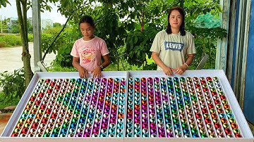 full-color ball sorting is very smart and smooth