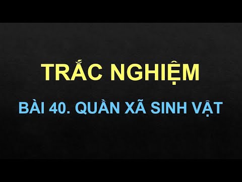 Video SINH 12 (SINH THÁI). TRẮC NGHIỆM BÀI 40. QUẦN XÃ SINH... - youtube