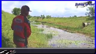 How to catch Snakehead Fish in Thailand l Snakehead Fish l snakehead fish attack jump frog lure ep4