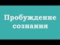 Как чувствуется пробуждение сознания