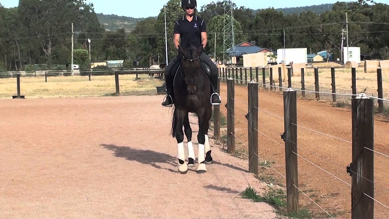 FOR SALE LIPTON YouTube