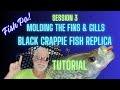 Fish Replica Tutorial:How to & TIPS