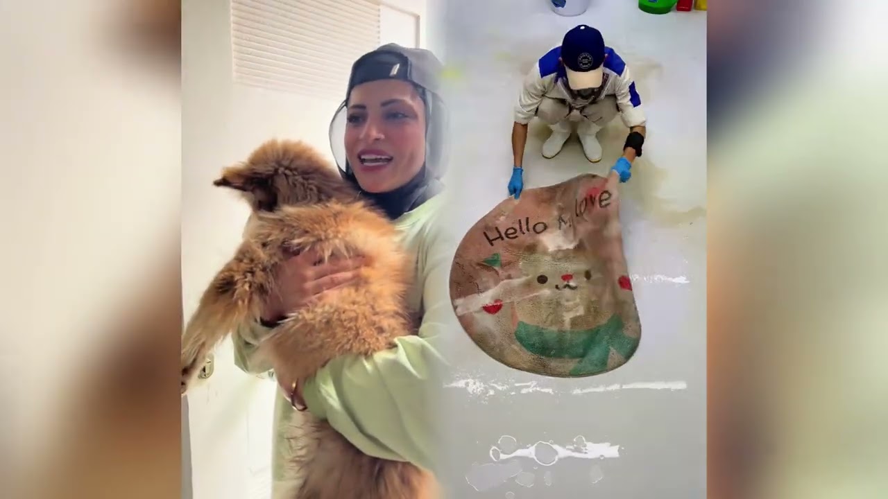 ..مجموعة فيديوهات مضحكة، أفضل مدونة، أحب عملك@hdeel