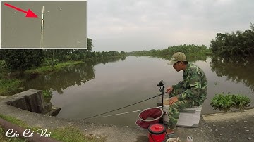 Câu Đài ➣ Cận Cảnh Phao Khi Cá Diếc Ăn Mồi ➣ Câu Trúng Ổ Cá Diếc Luôn