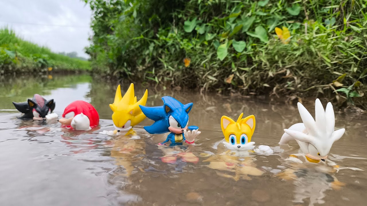 Sonic Hunter | Sonic Hedgehog | Knuckles | Tails | Super Sonic | Sonic Shadow | Metal Sonic | Amy