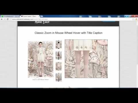 How to upload Mouse Wheel Zoom In jQuery into WebStarts