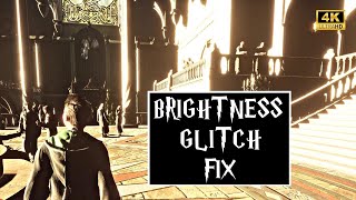 Hogwarts Legacy | How to Fix the Brightness Glitch | Ray Tracing Bug