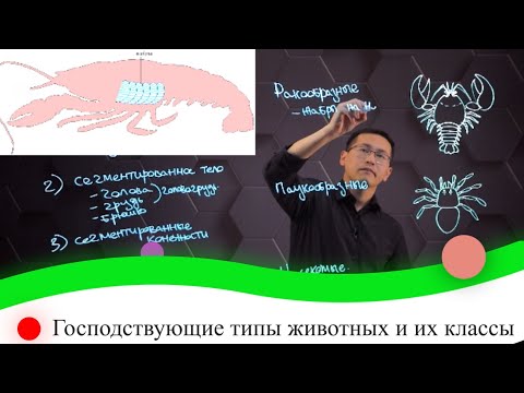 Господствующие типы животных и их классы. 1 часть. 8 класс.