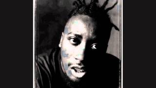 Old Dirty Bastard - Baby I Got Your Money