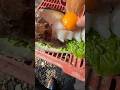 穴釣りで釣った魚をその場で食べる 釣りの始め方 ファミリーフィッシング 初めての釣り